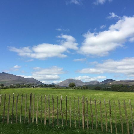 安纳隆Willowtree Glamping Mournes别墅 外观 照片