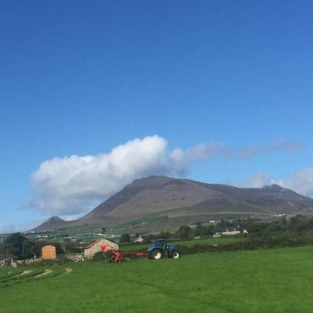 安纳隆Willowtree Glamping Mournes别墅 外观 照片