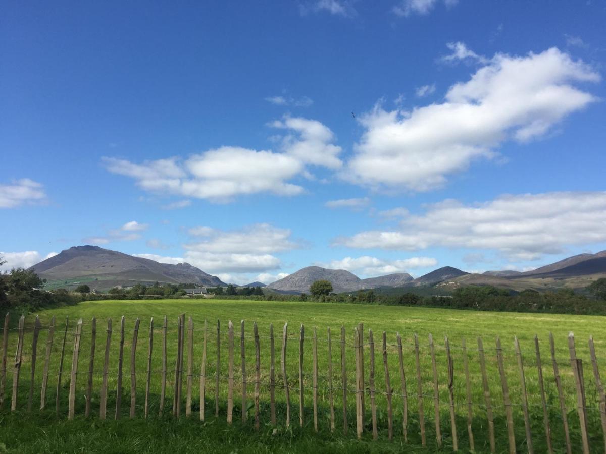 安纳隆Willowtree Glamping Mournes别墅 外观 照片