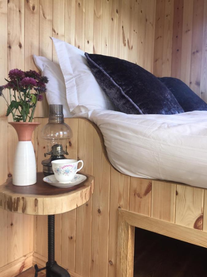 安纳隆Willowtree Glamping Mournes别墅 外观 照片