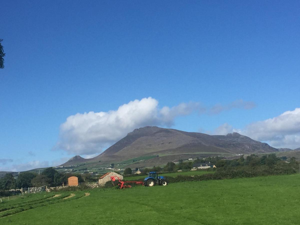 安纳隆Willowtree Glamping Mournes别墅 外观 照片