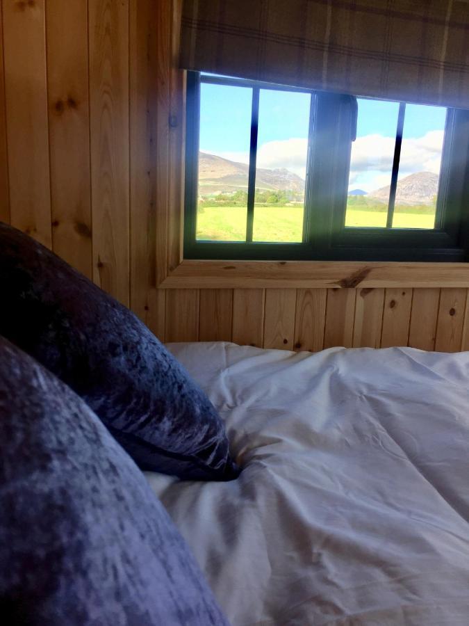 安纳隆Willowtree Glamping Mournes别墅 外观 照片